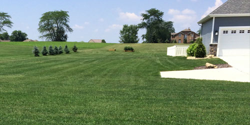 Freshly mowed and fertilized home lawn in Granger, IN.
