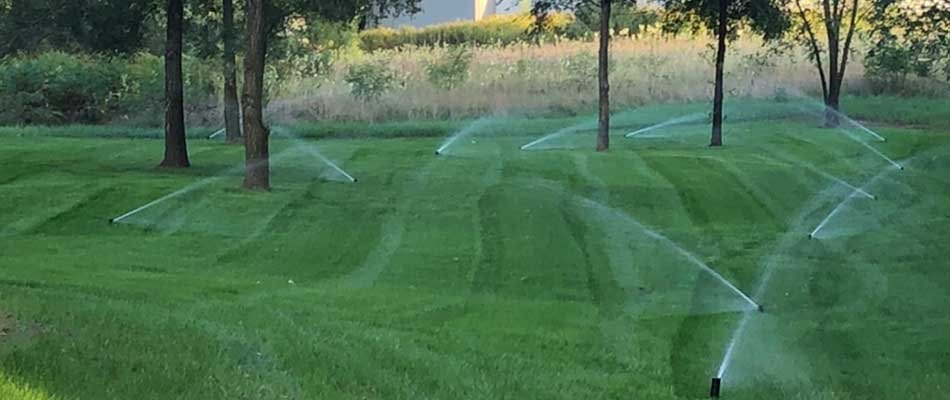 A healthy, lush lawn in Elkhart, IN.