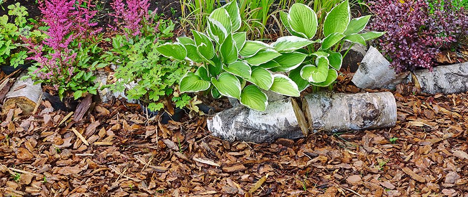 A landscape bed topped with mulch on a property in Elkhard, IN.