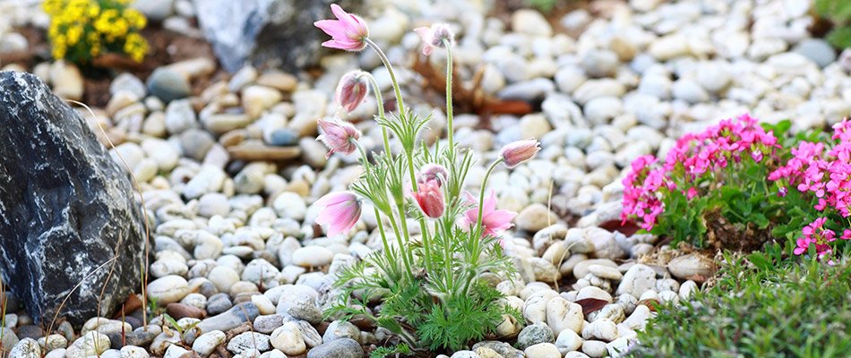 A landscape bed topped with rocks on a property in Elkhart, IN.