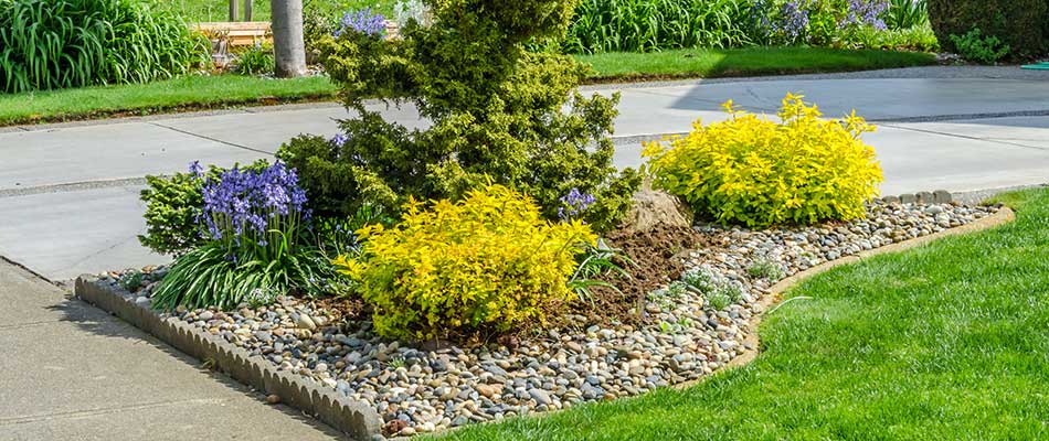 A rock landscape bed wit purple and yellow flowers in Elkhart, IN.