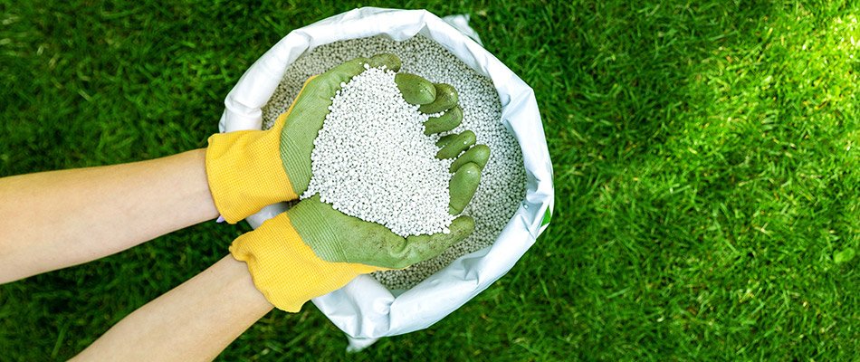 What Do Fertilizer Ingredients Do? Nitrogen, Phosphorus, Potassium (NPK)