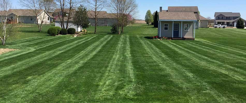 3 Reasons You May Need Spring Lawn Restoration Services