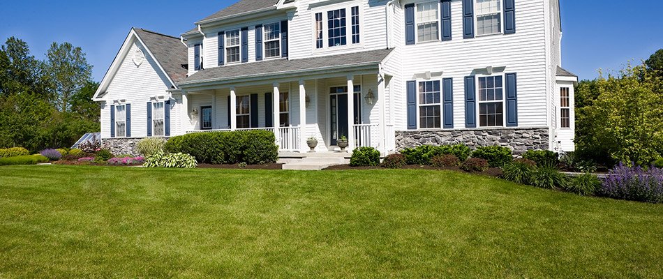 Don't Kill Your Lawn This Summer - Advice to Keep Your Grass Alive in the Heat