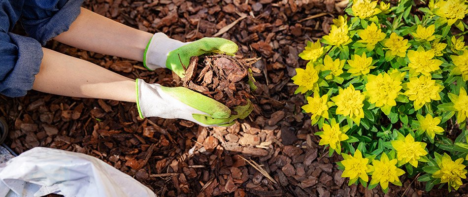 Mulch vs Rock for Indiana Landscapes