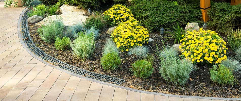 4 Landscape Bed Additions That Require Little to No Maintenance