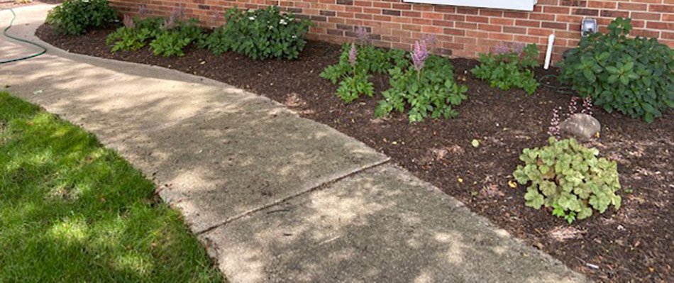 A mulch covered landscape bed alongside paved walkway on a property in Elkhart, IN.