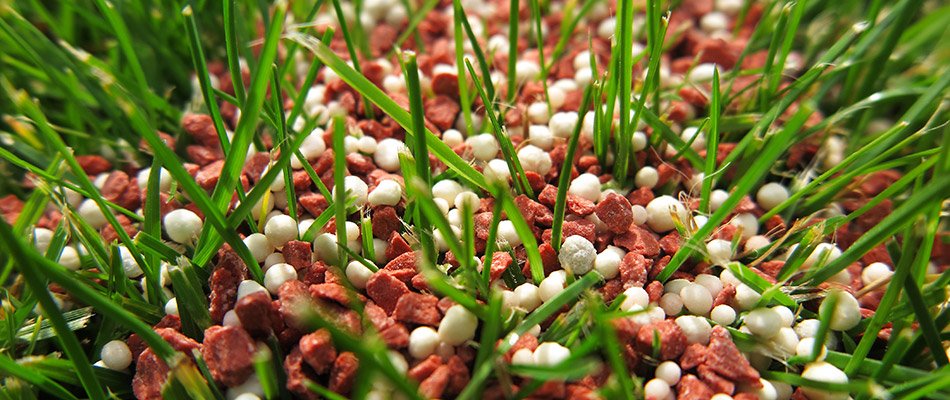 Fertilizer FAQs