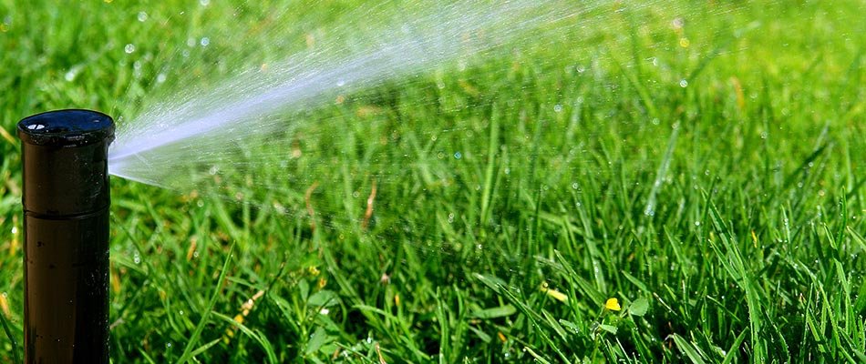 Watering Efficiently - Save Time and Resources With these Tips