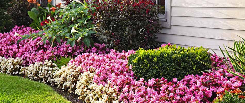 Beautiful flower bed with bright blooming flowers near Elkhart, IN.