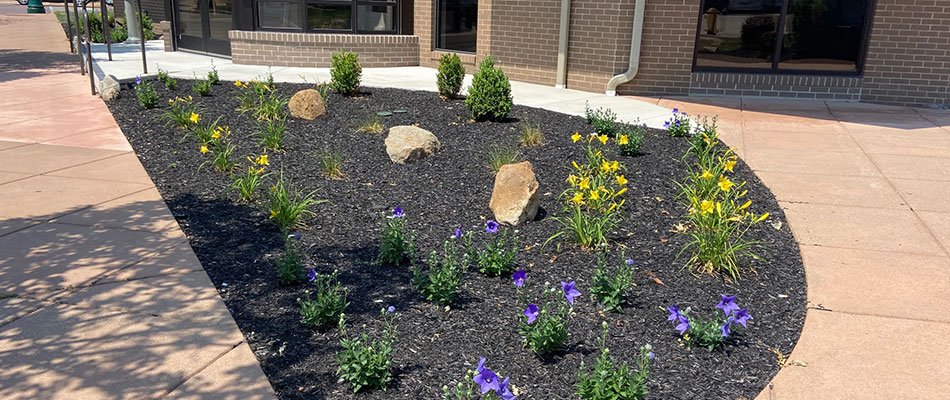 Recently renovated landscaping in front of a commercial building in Elkhart, IN.