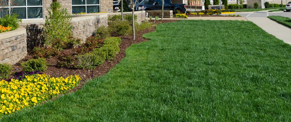 Commecial property with lawn maintenance and mowing in Granger, IN.