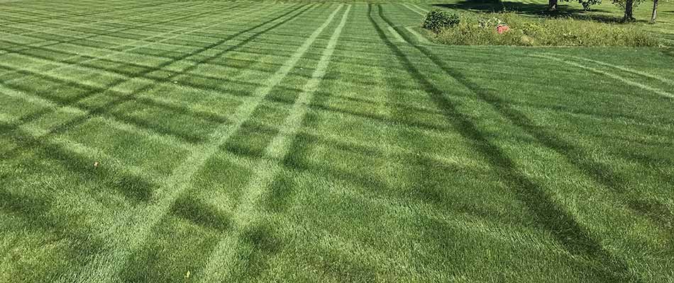 Lawn fertilizer lines on a bright green, healthy lawn in Osceola, IN.