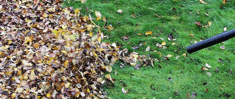 Leaves being removed during a fall yard cleanup in Elkhart, IN.