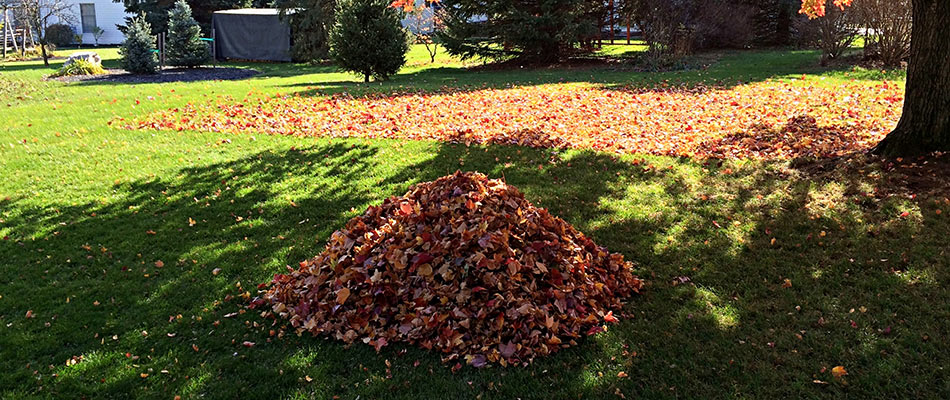 Leaf pile on a lawn near Elkhart, IN.