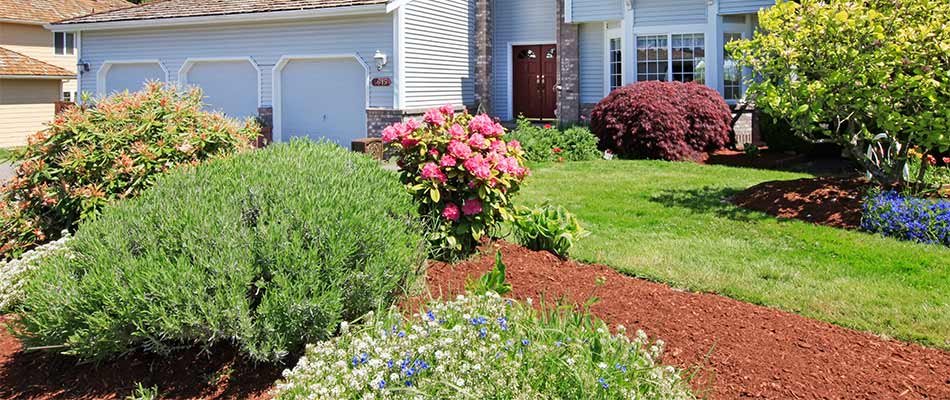 Neatly trimmed landscape bushes and shrubs and fresh mulch in a landscape bed near Elkhart, Indiana.