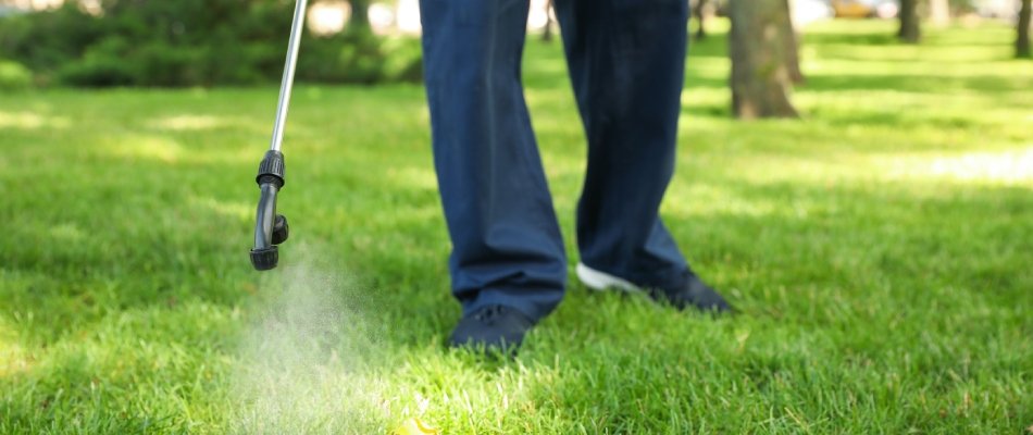Professional applying post-emergent weed control to lawn in Notre Dame, IN.