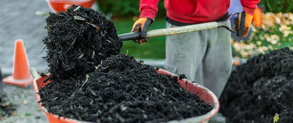 Our landscape professional shoveling mulch to place on landscape beds in Dunlap, IN.